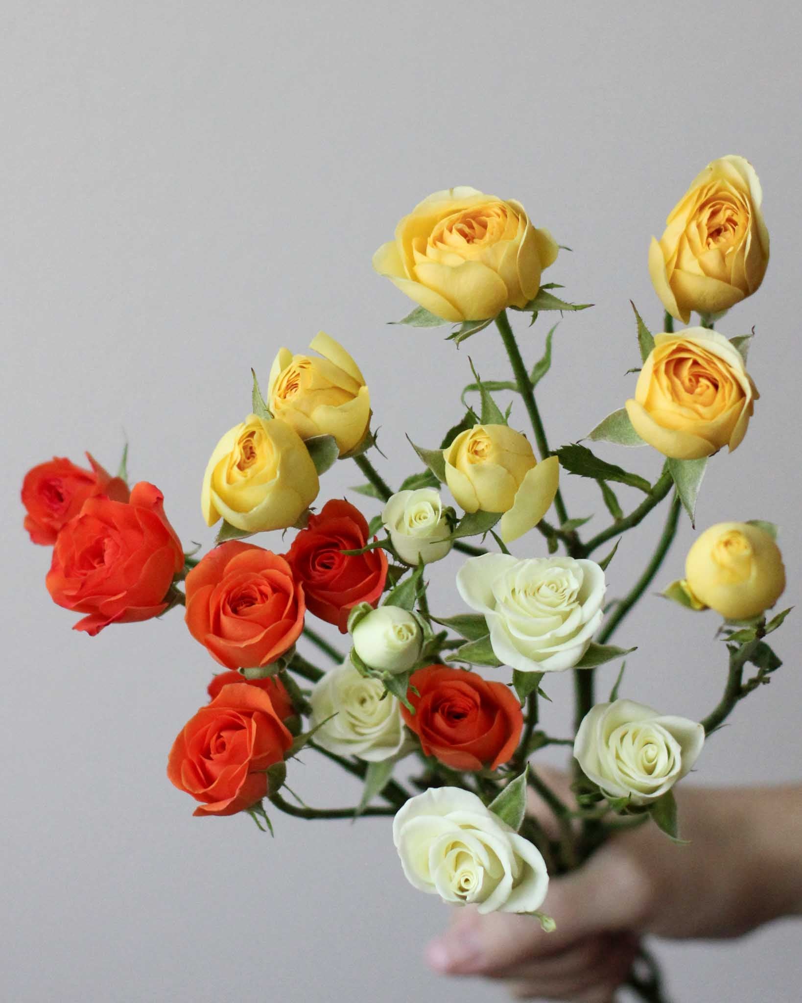 Subscription Flowers - Spray Rose Flower Arrangement - View 3 | Windflower Florist