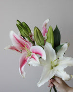 Subscription Flowers - Lily Flower Arrangement by Windflower Florist Singapore