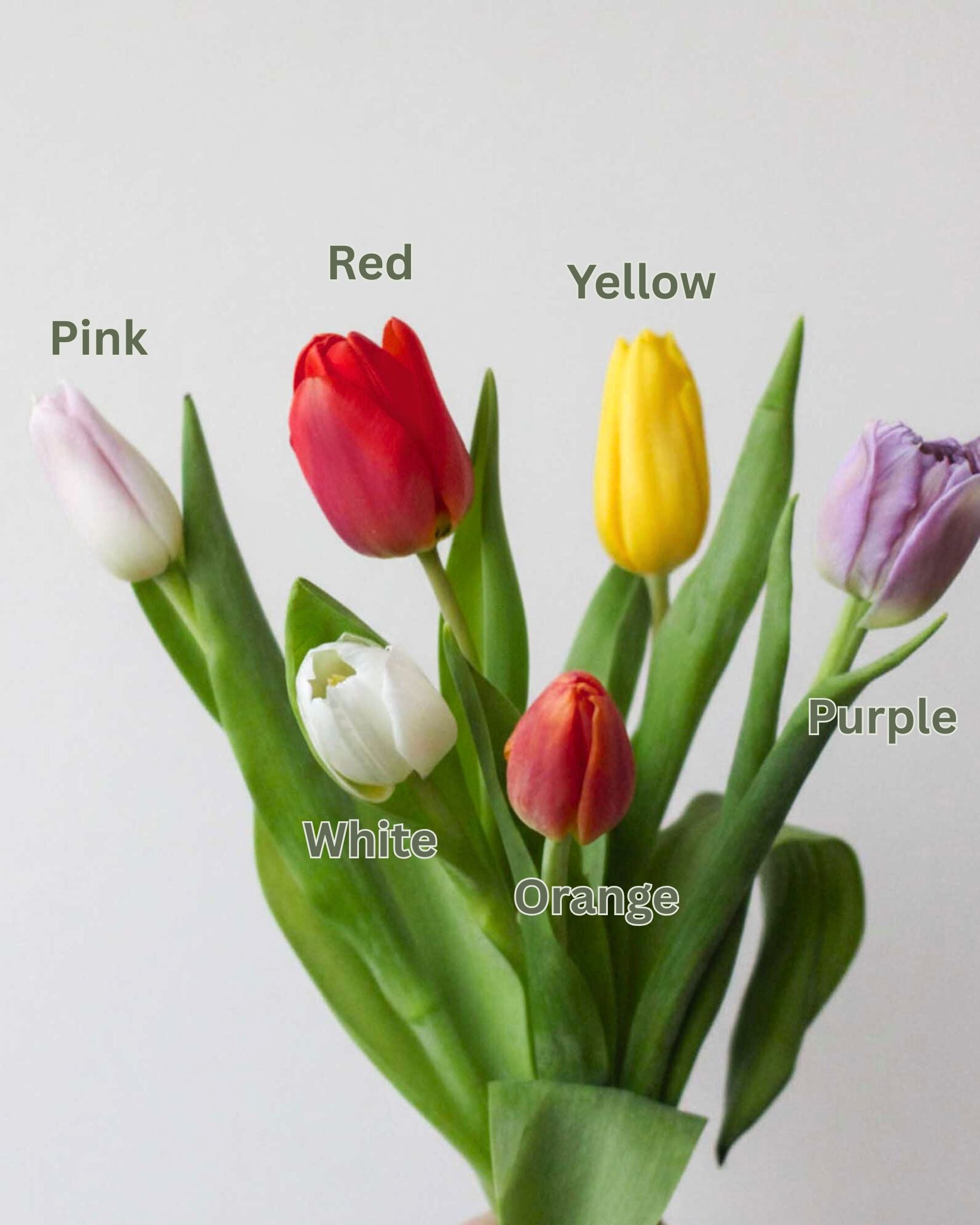 Subscription Flowers - Tulip Flower Arrangement by Windflower Florist Singapore