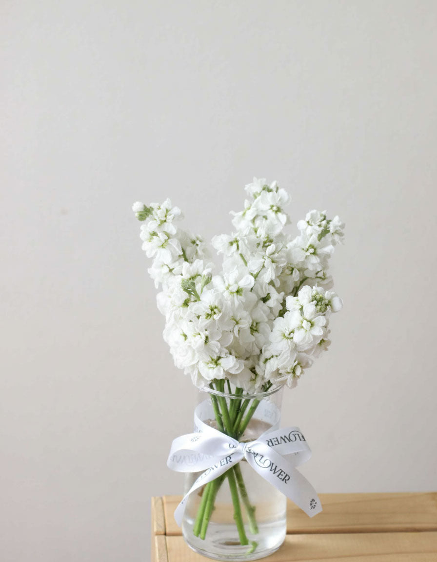Subscription Flowers - Matthiola Flower Arrangement - View 3 | Windflower Florist