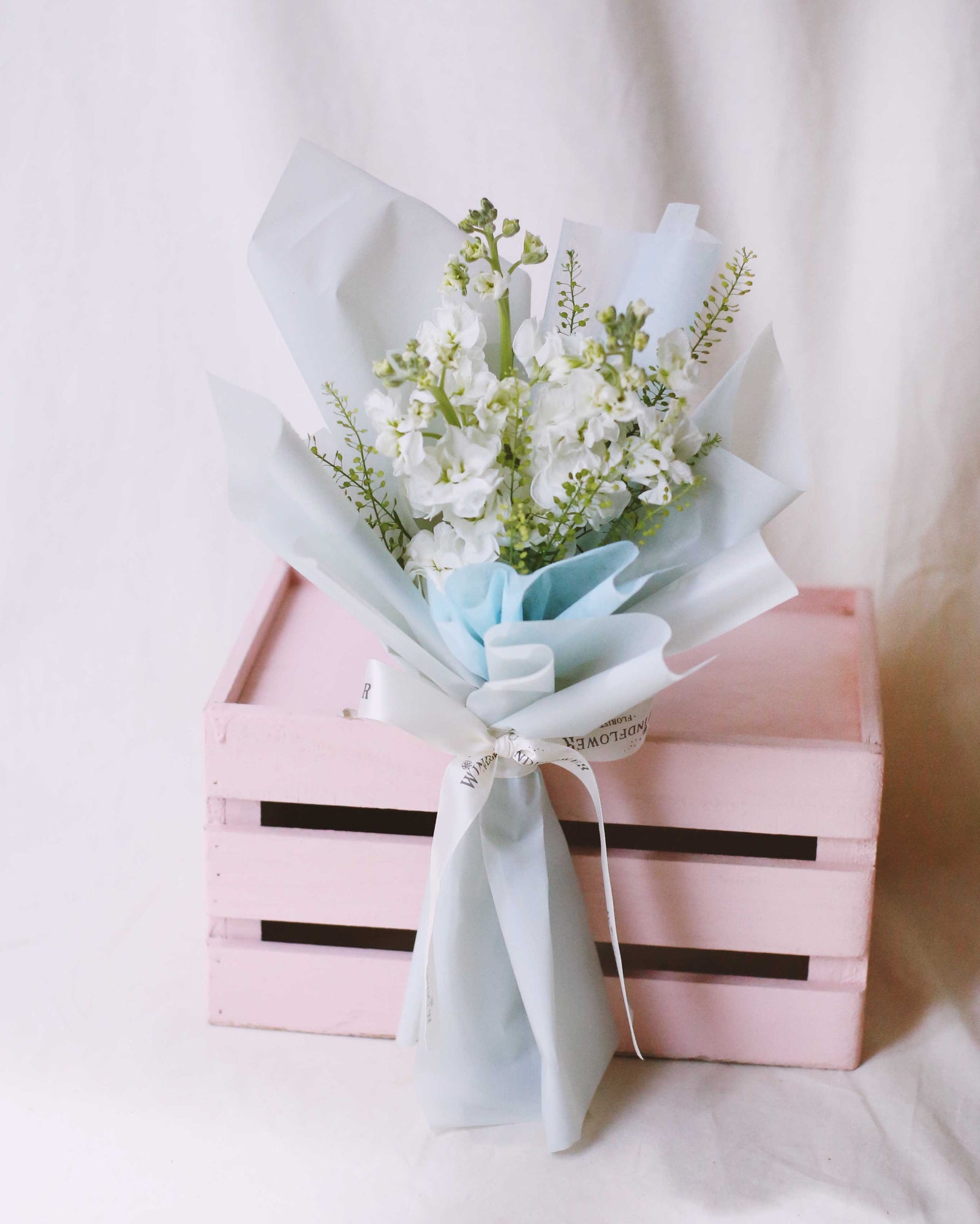 三重奏 Matthiola In White