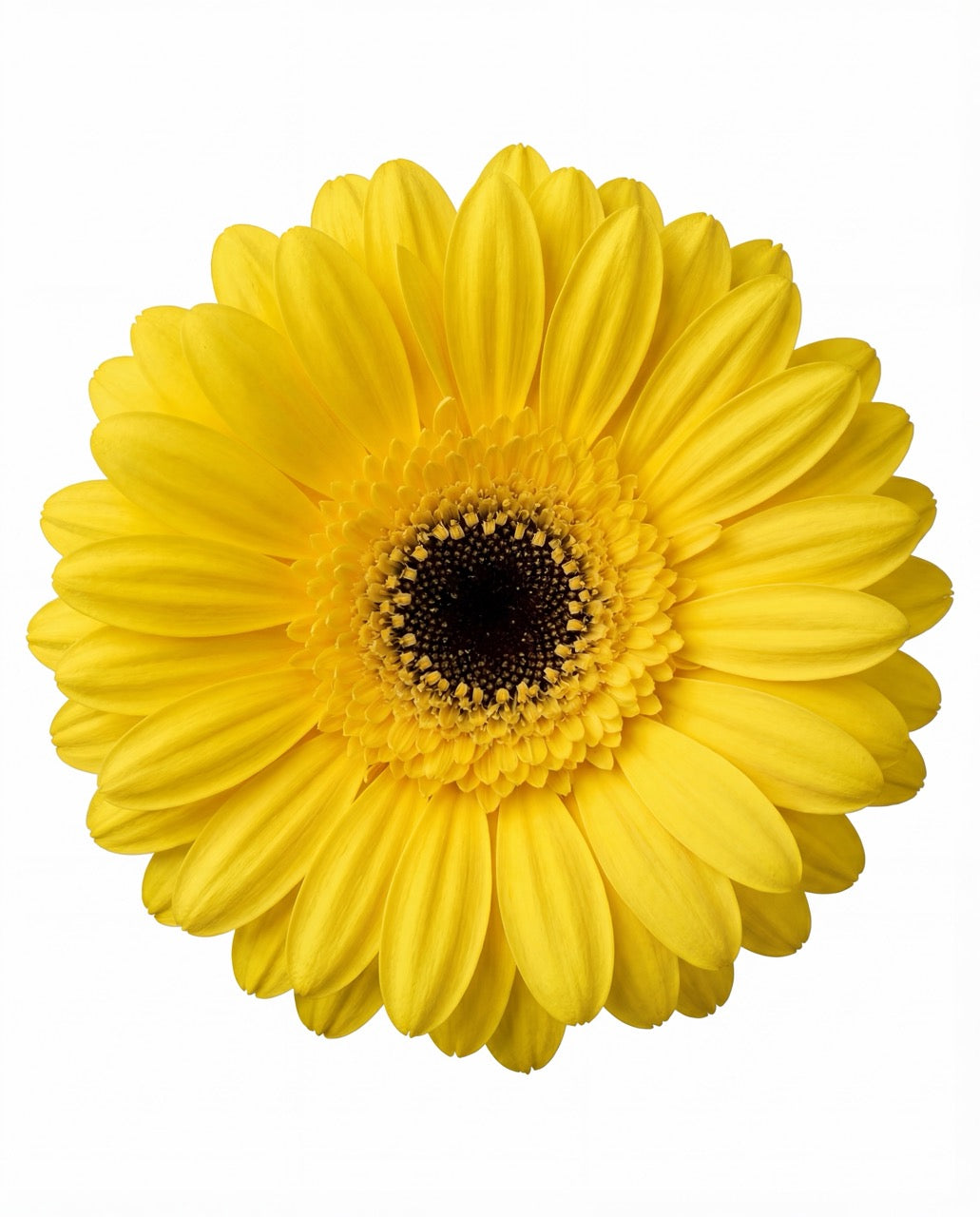 清新别致的餐桌中心装饰品——充满奇思妙想