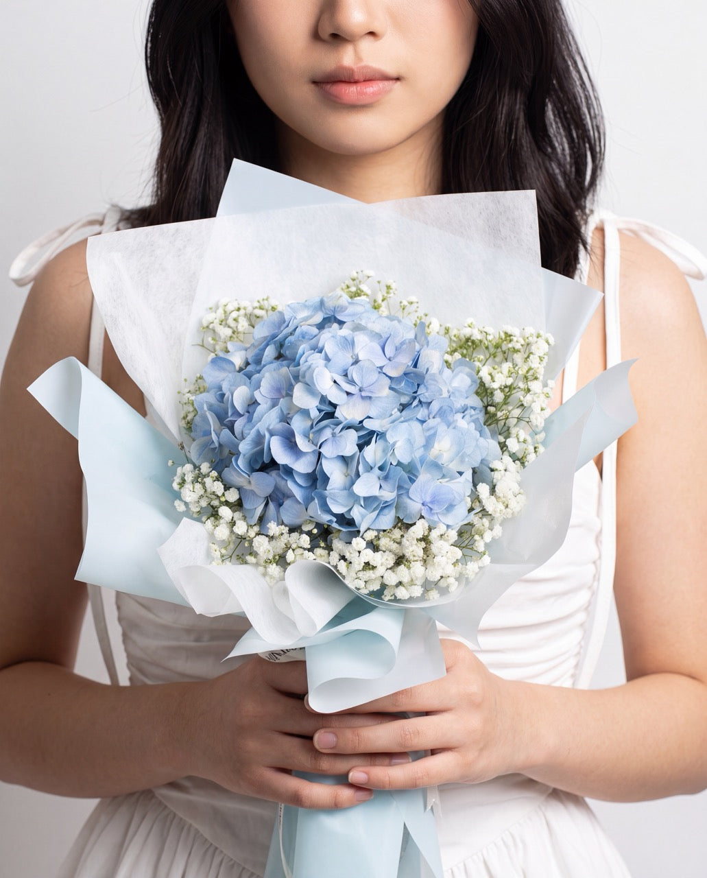 Hydrangea Cloud