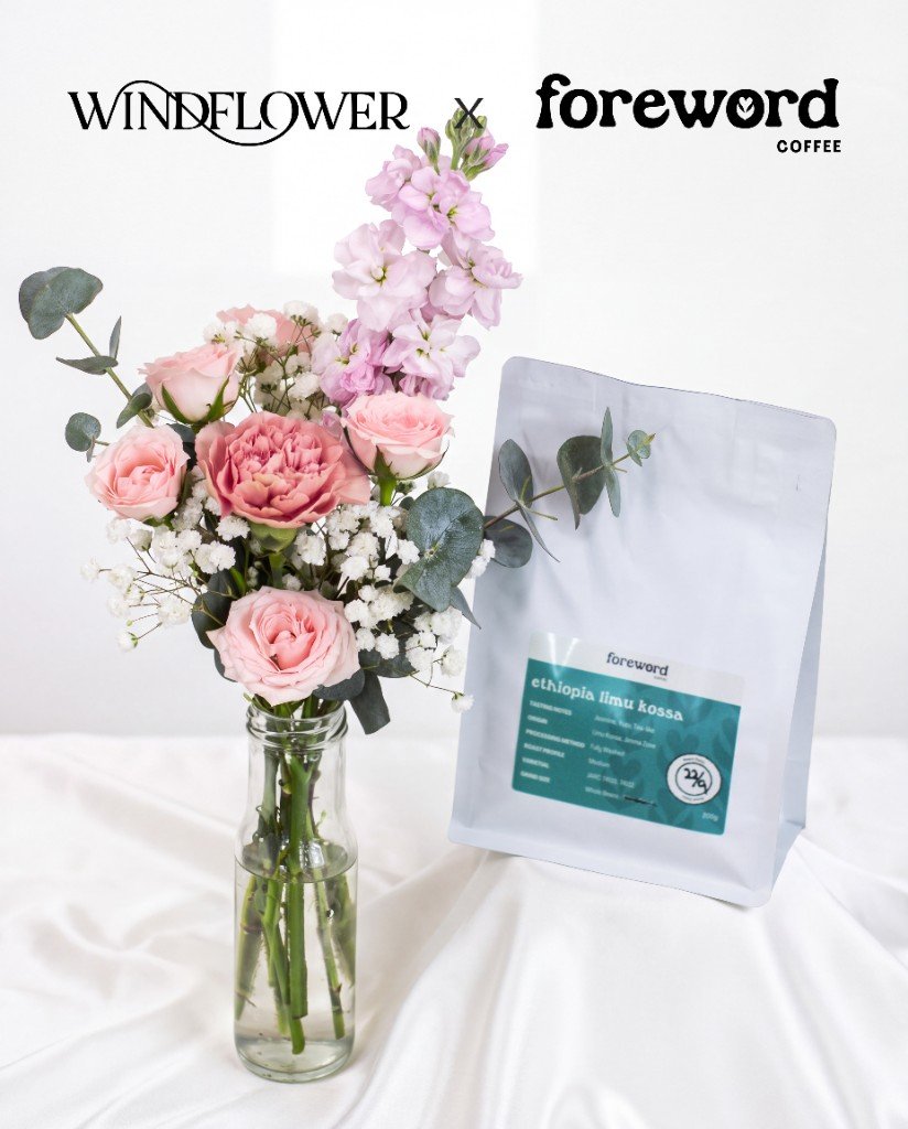 Blush Veil vase with Ethiopia Limu Kossa beans — Windflower x Foreword Coffee