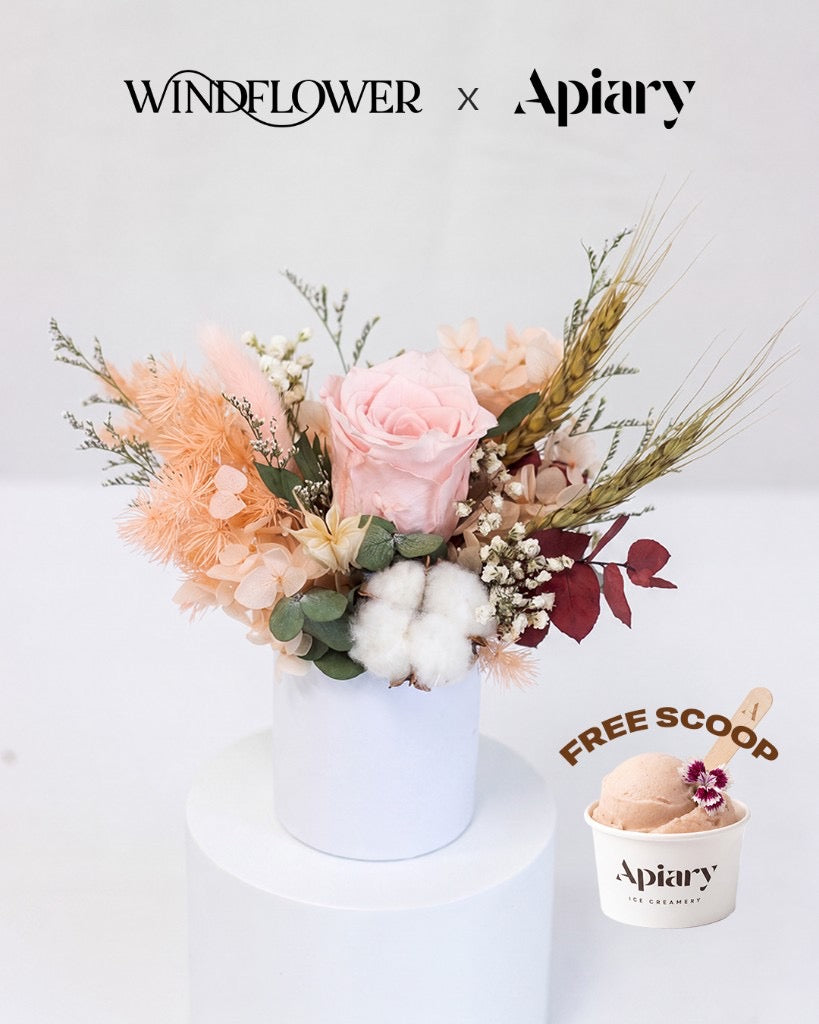 Guava Blush Dried Rose Box — Guava Blush Preserved Rose Box | Windflower x Apiary