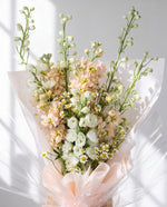 Momo — close-up of peach delphinium, peach matthiola and chamomile