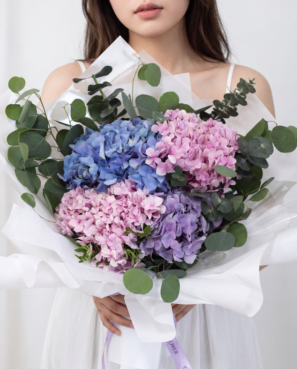 Hydrangea Omakase