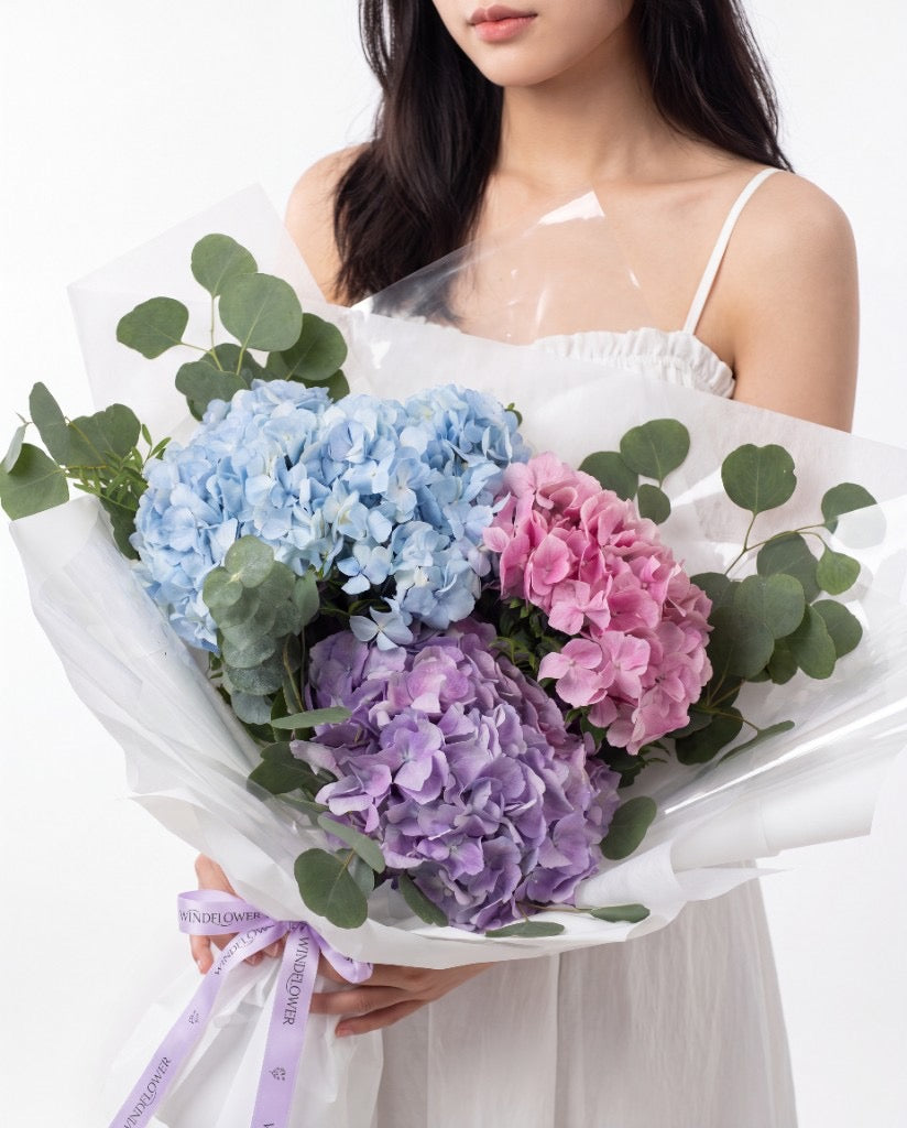 Omakase Hydrangea Bouquet Hydrangea Bouquet — Mixed Pink Blue Purple Hydrangeas | Free Same-Day Delivery Singapore