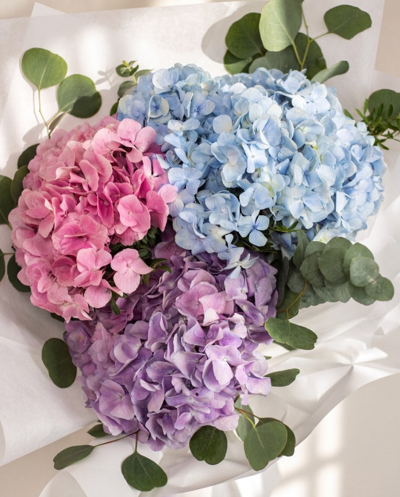 Omakase Hydrangea Bouquet Hydrangea Bouquet — Mixed Hydrangea Top View | Free Same-Day Delivery Singapore