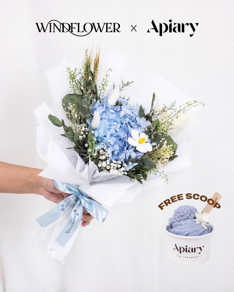 Soft Blue Hour Hydrangea Bouquet — Soft Blue Hour Hydrangea Bouquet | Windflower x Apiary
