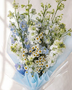 Sora — close-up of blue delphinium, white matthiola and chamomile