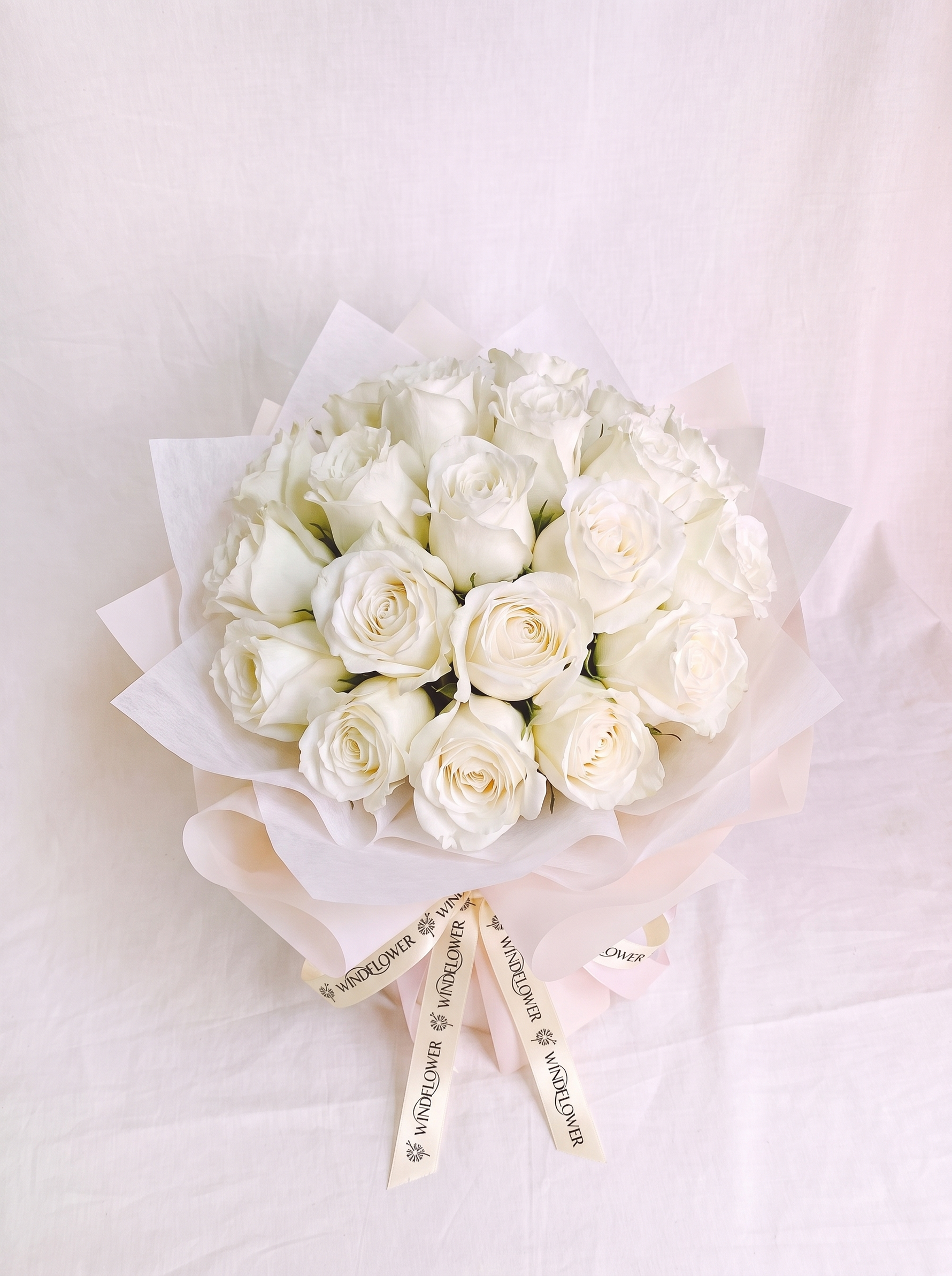 A Study in White - Rounded, with cream Windflower ribbon branding (natural tie, shortened tails)