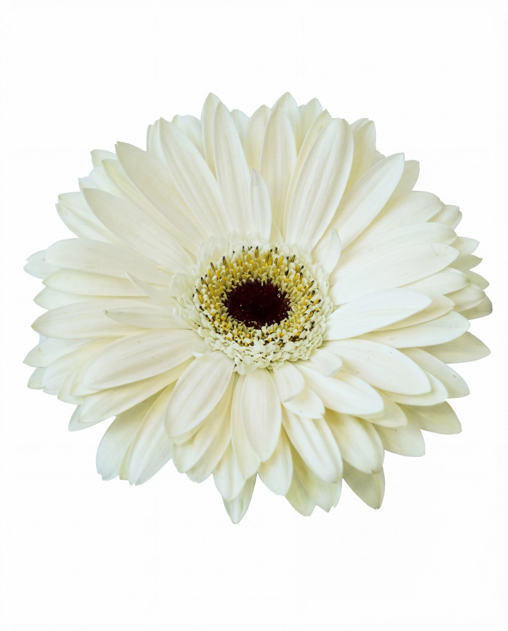 清新别致的餐桌中心装饰品——充满奇思妙想