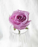 Roses Bridal Bouquet - View 6 | Windflower Florist