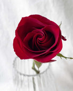 Roses Bridal Bouquet - View 7 | Windflower Florist